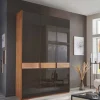 Glasfront-Schlafzimmerschrank in Dunkelbraun - Hung