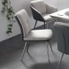 Graue Esszimmerstühle Casalin mit Edelstahl Gestell (2er Set)