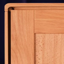 Kernbuche Kleiderschrank mit 2 Türen - Junola
