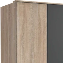 Kombi-Drehtürenschrank in Eiche Sägerau - Danah