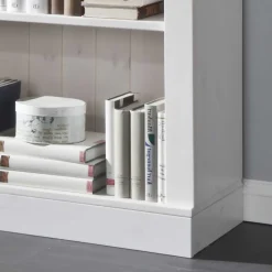 Regal Satumare für Bücher