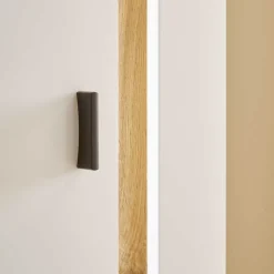 Wohnzimmer-Hochschrank mit LED Beleuchtung - Racelyn