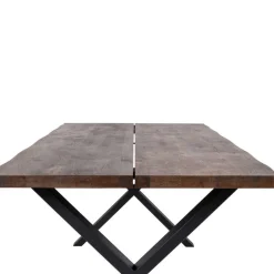 200x95 Tisch mit Polsterstühlen - Ricinga (siebenteilig)