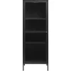 58x160x40 Metall Vitrine in Schwarz - Gulliver