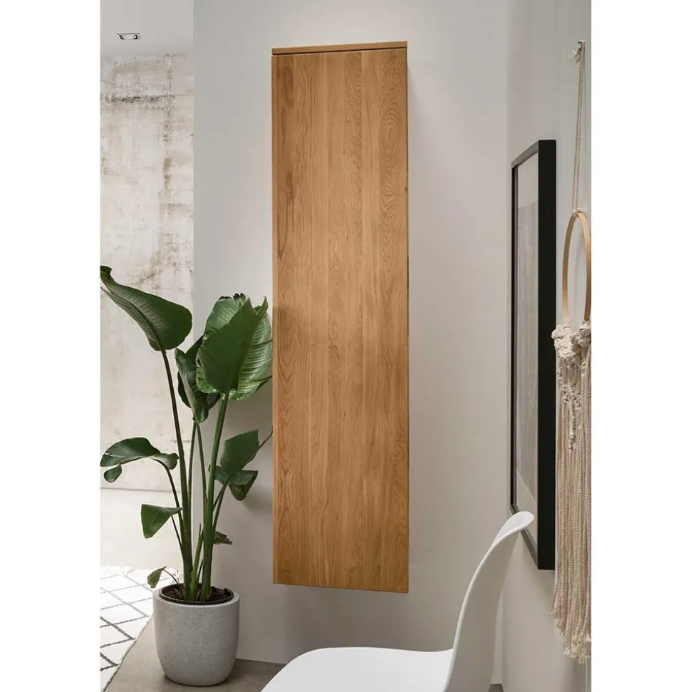 40x165x35 1-türiger Schrank für die Wandmontage - Sotunes